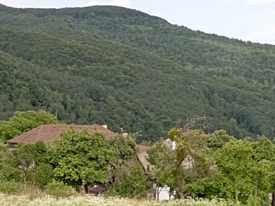 Ціну знижено! Продаємо будинок село Солочин з чудовим видом на Кар Солочин