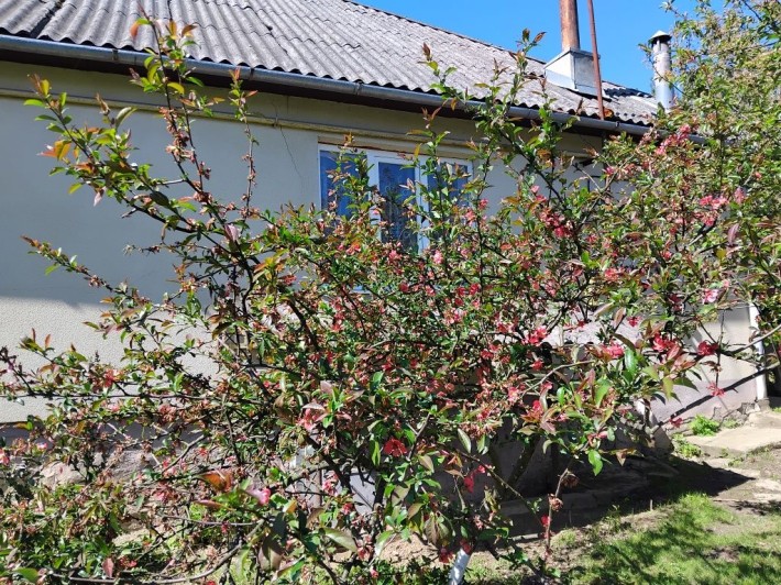 Продаємо будинок село Голубине Закарпатської - фото 1