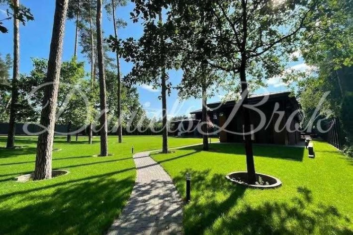 Козин Конча Заспа Современный дом в сосновом лесу - фото 1