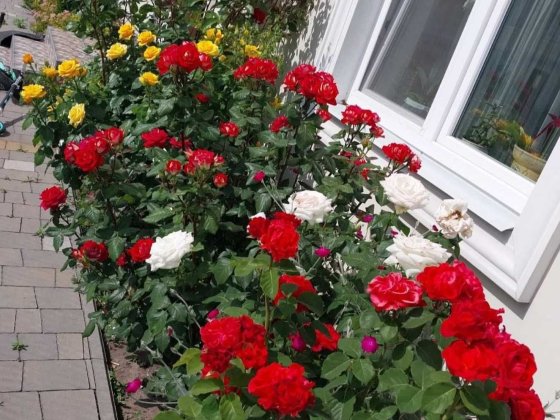 Вітаю! Продам будинок-таунхаус з ремонтом. Святопетровское