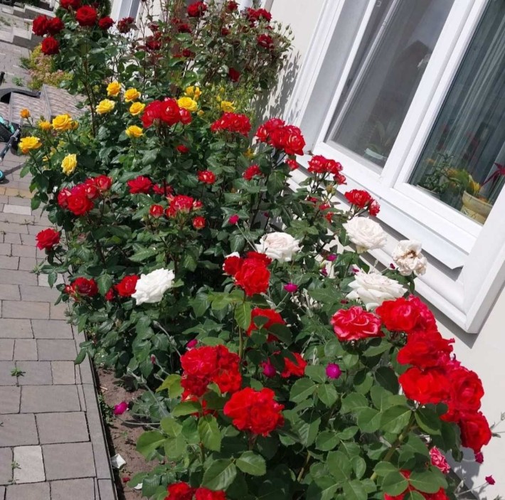 Вітаю! Продам будинок-таунхаус з ремонтом. - фото 1