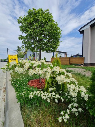 Від забудовника. Продам Будинок 90 м2, ділянка 5,5 сотки. - фото 1