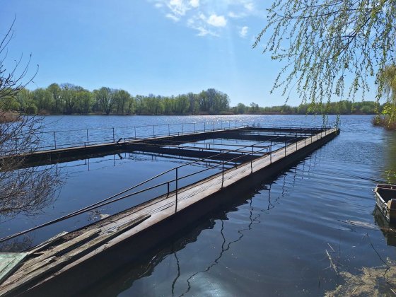 Дача з ВИХОДОМ на ДНІПРО з власним причалом  в СТ Вишеньки -2 Вишеньки