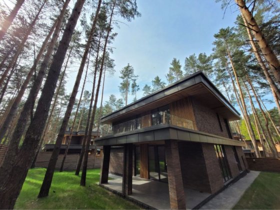 Будинок в лісі_Білогородка_сосни біля будинку Белогородка