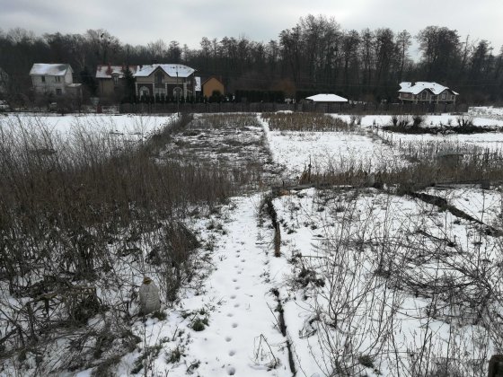 Продам будинок с.Лісники 35 соток Лісники