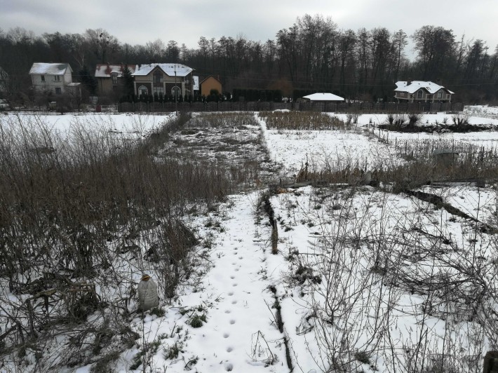 Продам будинок с.Лісники 35 соток - фото 1