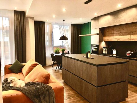 Продам газифікований будинок в бізнез КМ "Балатон". Нові Петрівці Нові Петрівці