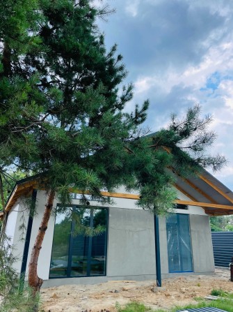 Будинок біля лісу у ВІті Поштовій - фото 1