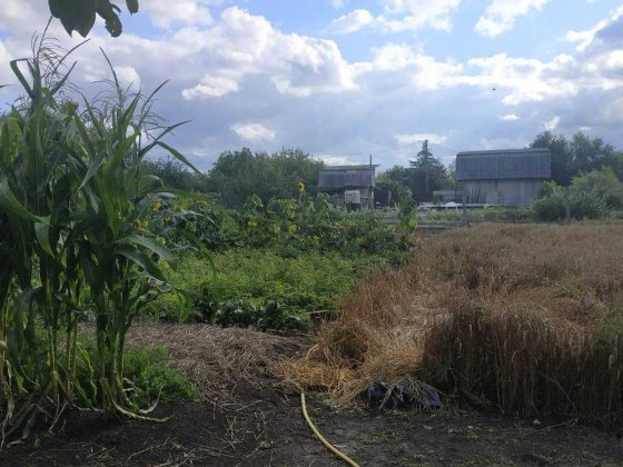 Продам дачный участок в садовом товариществе "Озерное" (возле Озера) Славутич