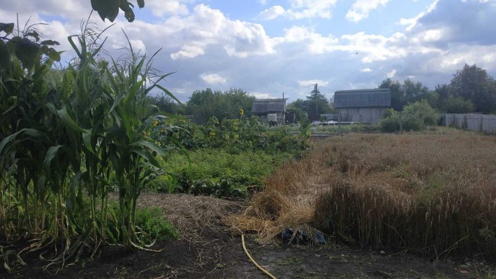 Продам дачный участок в садовом товариществе "Озерное" (возле Озера) - фото 1