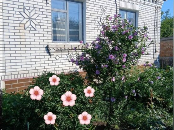 ОБМІНЯЮ на квартиру будинок цегляний новий Узин