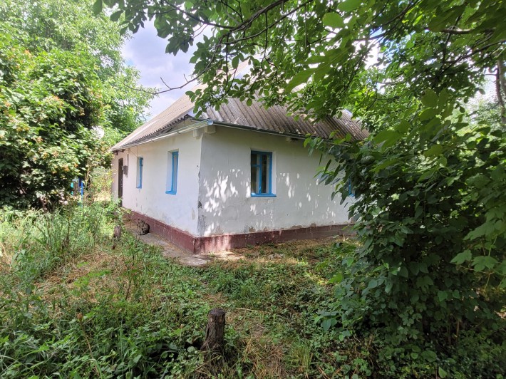 Продам будинок Київська область село Бовкун від власника та 1 га ЗЕМЛІ - фото 1