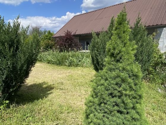 Панорама на р. Дніпро м. Ржищів 15 соток+ Будинок Ржищев