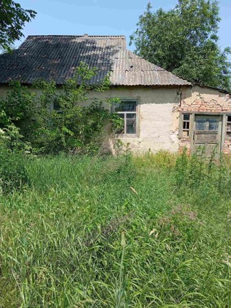 Продаж будинку, земельної ділянки - фото 1