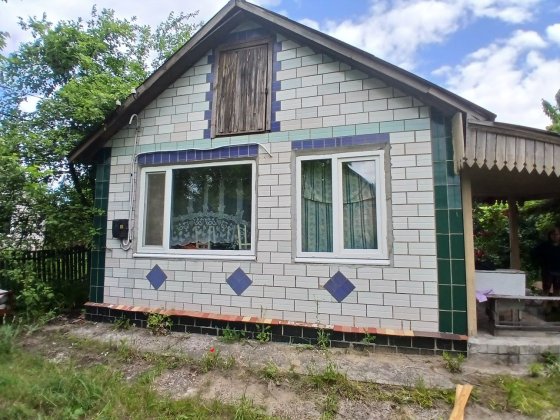 Дача біля озера серед природи Бабинці