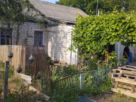 Продам півбудинку в с. Велика Олександрівка Велика Олександрівка