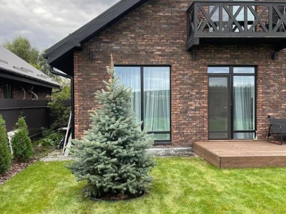 Дуплекс з Баварської кладки, 110м.кв. Бориспільський напрям(Відео) Кедина Гора