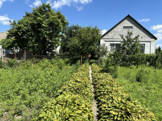 Продам житловий будинок з літньою кухнею Гурівщина