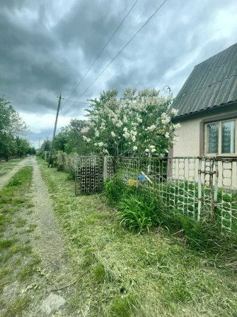 Дача СТ Мрія Київська обл.між Здвижівкою та Блиставицею - фото 1