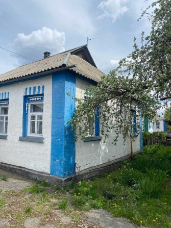 Вітаю! Продається будинок село Іванків Бориспільський район - фото 1