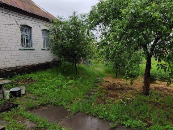 Продаж будинку в с. Нові Безрадичі Обухівського району Нові Безрадичі