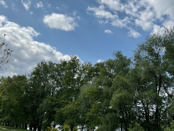 Перша лінія від Десни, дача на 20 сотках. Пухівка