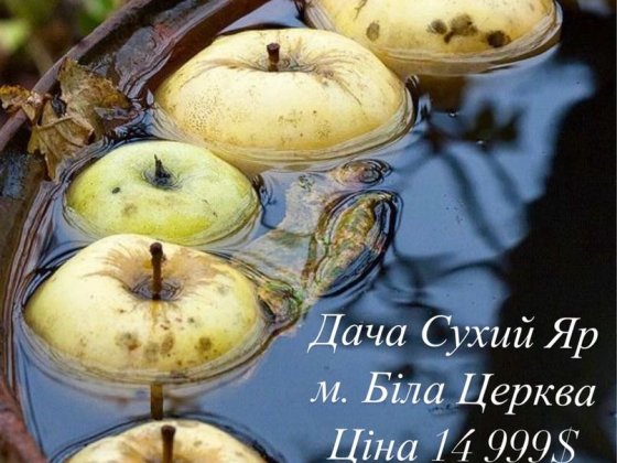 Дача Сухий Яр м. Біла Церква Белая Церковь