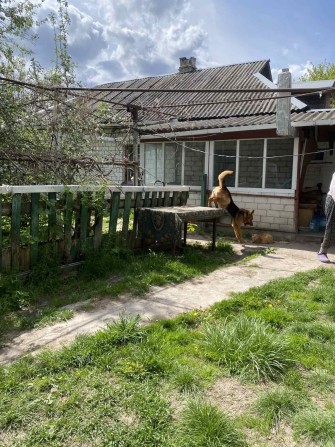 Терміново!!!продам хороший будинок в с.Семиполки,в центрі села. - фото 1