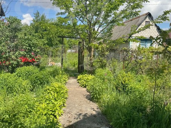 Продам Дачу/Дом, 6 соток,СКВАЖИНА, ЕЛЕКТРОЕНЕРГИЯ, с.Чубинское Чубинське