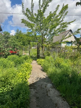 Продам Дачу/Дом, 6 соток,СКВАЖИНА, ЕЛЕКТРОЕНЕРГИЯ, с.Чубинское - фото 1