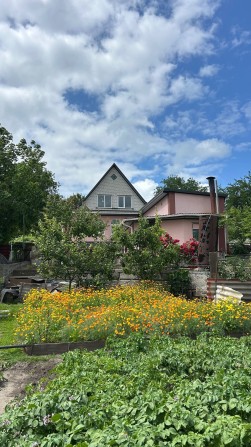 Добротний будинок с. Шкарівка - фото 1