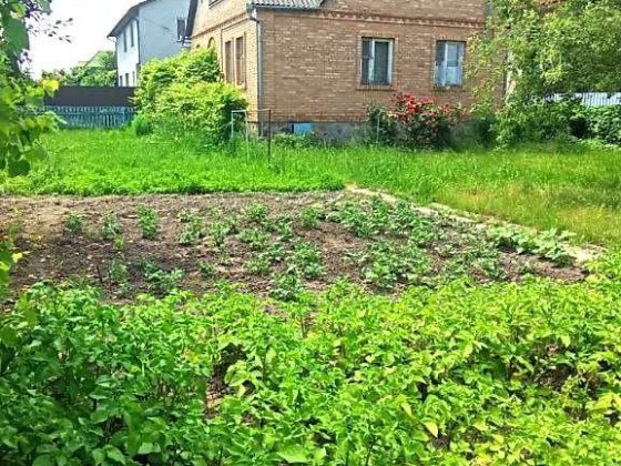 Продається будинок в Ясногородці Фастоський р-н Ясногородка