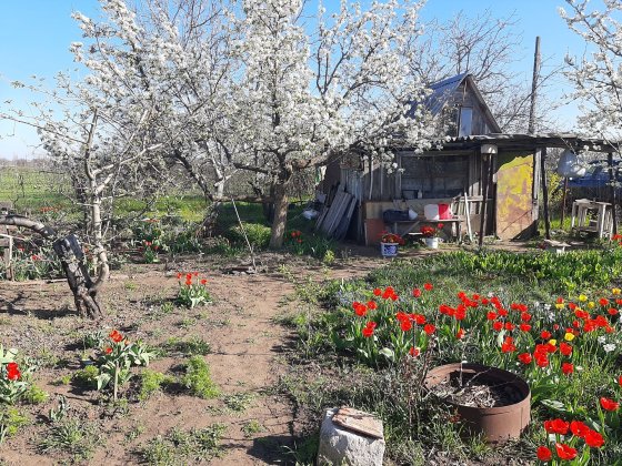 Продам дачу [дачу) Надбузьке