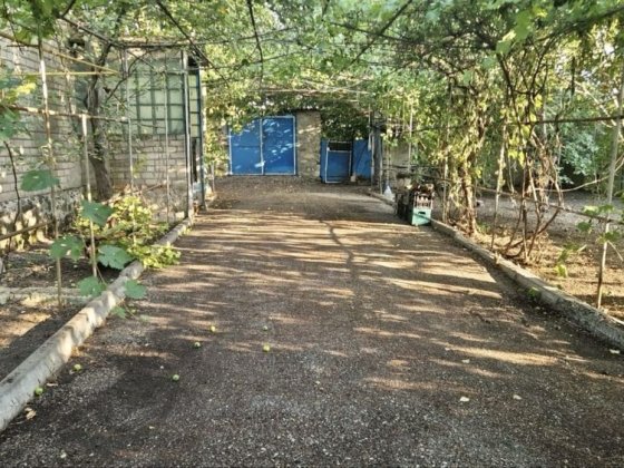 Продаж будинку у м. Новий Буг 100 м.кв. Новий Буг