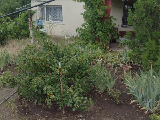 Дача в СТ Сосновое Баловне