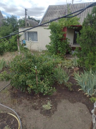 Дача в СТ Сосновое - фото 1