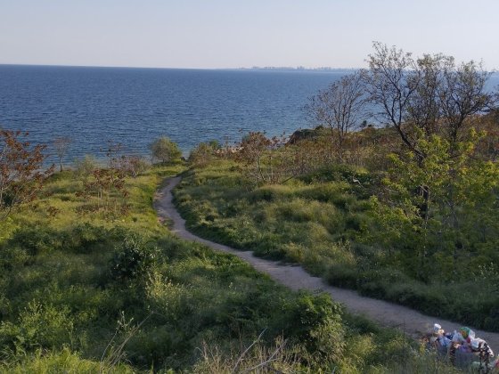 ПРОДАМ!!! Дом и 6 соток -с.Фонтанка, вторая линия от моря. Фонтанка