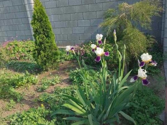 Дом в Фонтанке недалеко от трассы Фонтанка