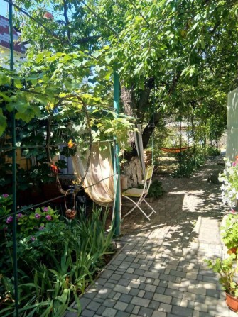 Продается  дом -дача возле моря( Одесса, прописка одесская), Садовое Т - фото 1