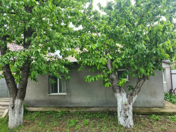 Дом в Фонтанке возле моря! Фонтанка