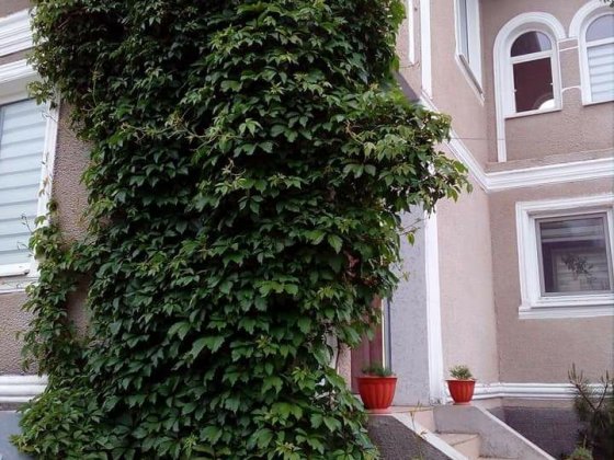 Продам  добротный дом, со всеми удобствами. Великодолинське