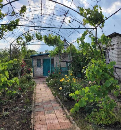 Продам дом-дачу в пригороде - фото 1