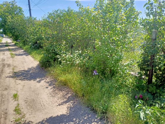 Выгодно! Дача в Сухом Лимане за 16 000. Сухой Лиман