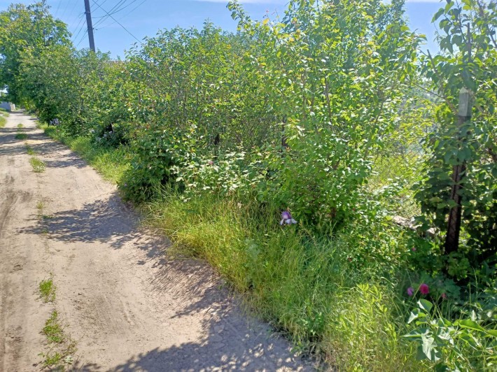 Выгодно! Дача в Сухом Лимане за 16 000. - фото 1