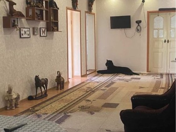 Продается хороший дом со всеми удобствами в Подольске Одесской области Подольск