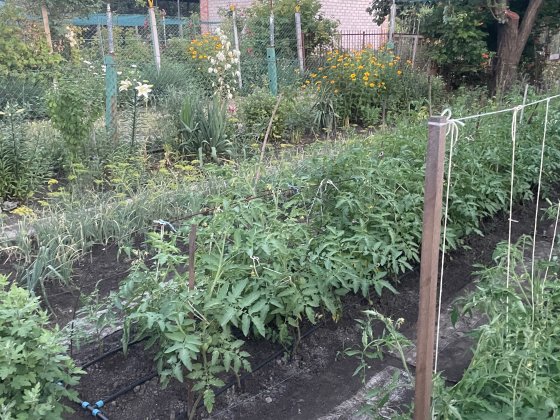 Продаю  ДАЧУ  за 5 Заречным Кривий Ріг