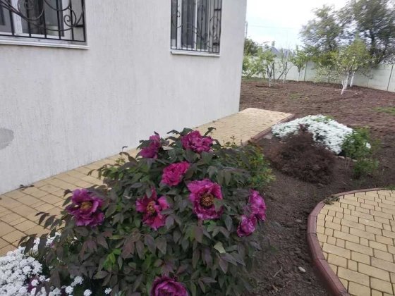 (13) Продам добротний 2-поверховий будинок в смт. Таїрове Таирово