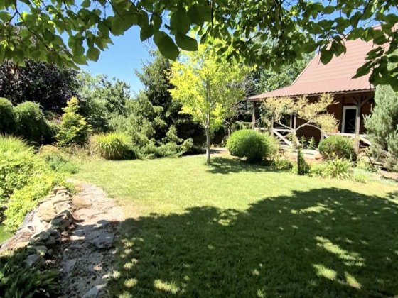 Заміська резиденція біля моря. Новая Дофиновка