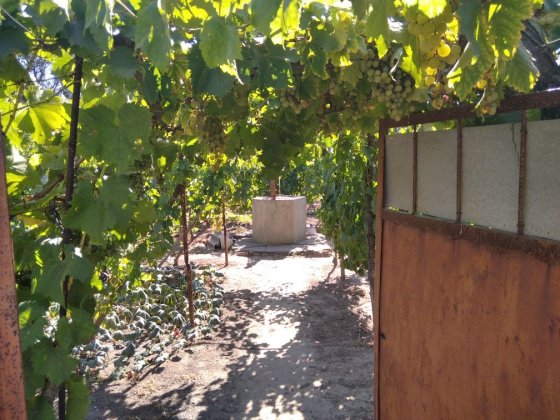 Продам 2-е дачи Одесская обл. Возле Затоки 10 соток домика нет Затока