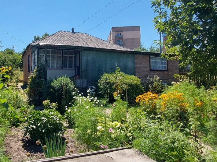 Продам будинок Нові Санжари - фото 1